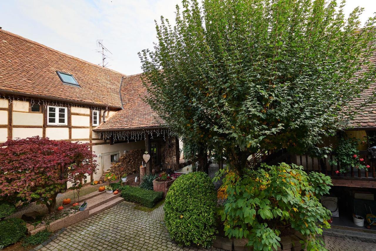 La Cour De Lise Maison D'Hotes Et Spa Willgottheim Exteriör bild